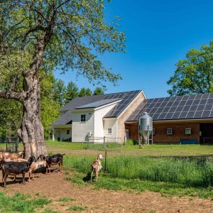 Designed by architect Benjamin Nutter, the building is rooted in in the tradition of New England barns.